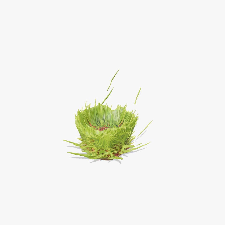 Lush Green Grass model pack